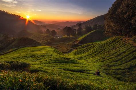 Trails For Trekking In The Cameron Highlands