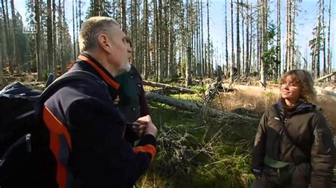 Harald glööckler ist einer der schrillsten paradiesvögel der deutschen modeszene. Harald Grill und sein Bayerischer Wald - Ausschnitt ...