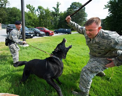 K 9 Handlers Pursuing The Enemy