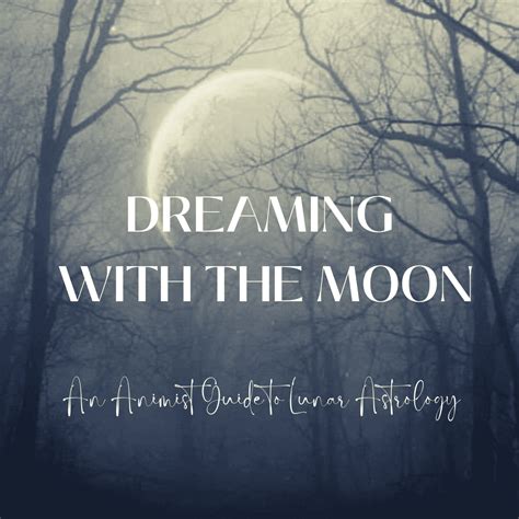 Dreaming With The Moon Red Earth Healing Shannon M Willis