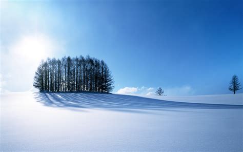 壁纸 阳光 树木 景观 爬坡道 性质 天空 冬季 冷静 蓝色 早上 霜 地平线 大气层 北极 阿尔卑斯山