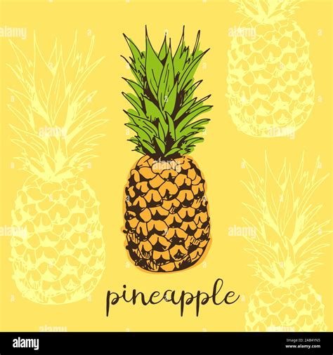 Pineapple Vector Illustration Tropical Background Stock Vector Image