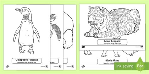 Endangered Land Animals And Coloring Pages