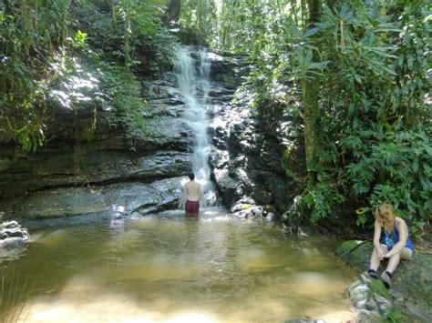 Tijuca National Park Hike To The Peak Getyourguide