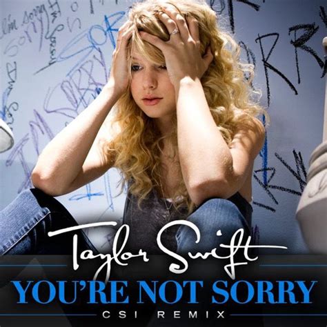 Taylor Swift You Belong With Me Album Cover