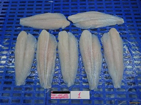 Pangasiusbasadory Fillets Non Phosphate No E500501vietnam Price