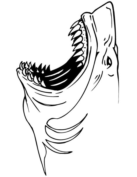 Best Of Coloring Pages Sharks Shark Coloring Pages Shark Art