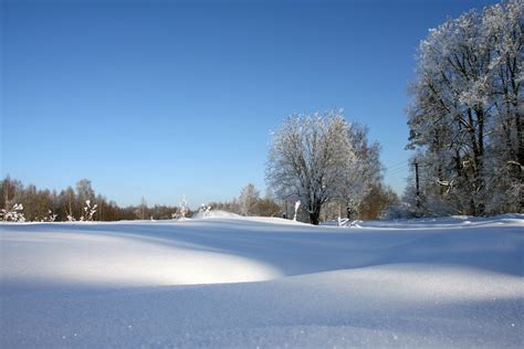 รูปภาพ ต้นไม้ ธรรมชาติ หิมะ ขาว สนาม แสงแดด ตอนเช้า น้ำค้าง