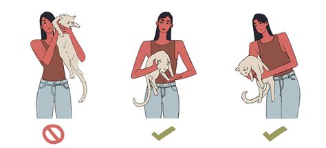 How To Hold A Cat