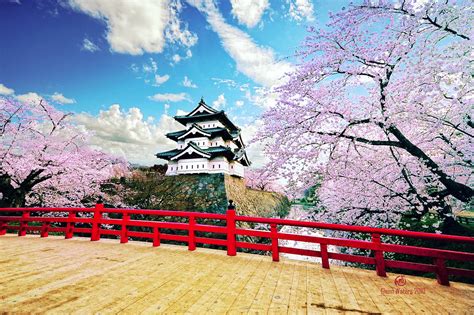 Best Cherry Blossom Spots In Japan Where To View Japan S Cherry Blossoms Go Guides