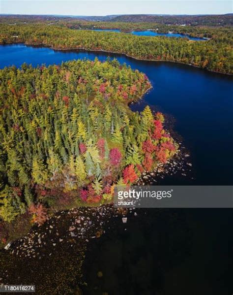 Northern Boreal Forest Photos And Premium High Res Pictures Getty Images