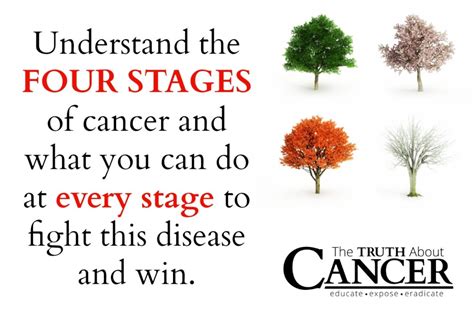 Understanding The 4 Stages Of Cancer