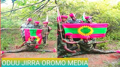Oduu Ibsa Bbc News Free Oromo Dhamsa Hatatama News Youtube