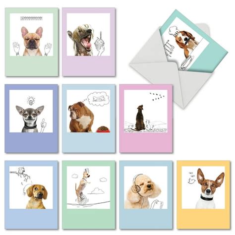 10 Assorted Blank Dog Cards 4 X 512 Inch Funny Boxed All Occasion
