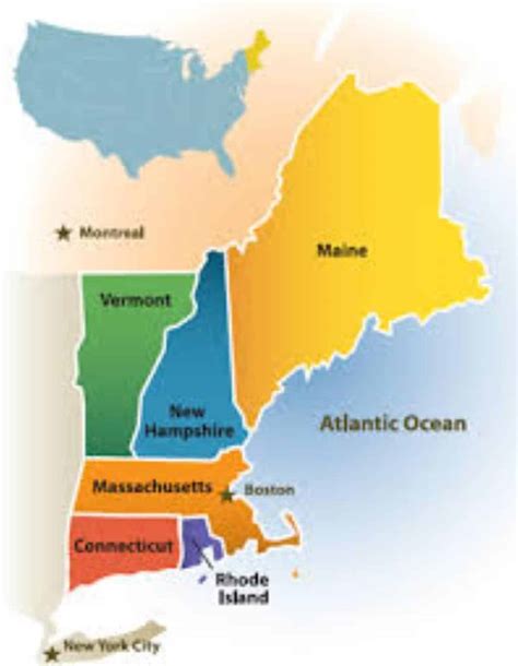 New England Mold Remediation Resources Mold Cleaner Today