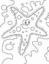 Coloring Starfish Library Clipart Sea Simple Drawing sketch template