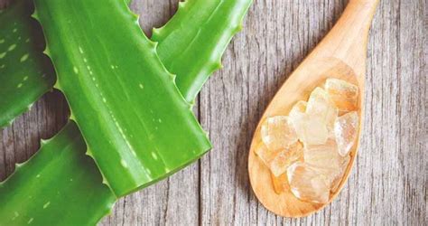 How To Make Homemade Aloe Vera Gel