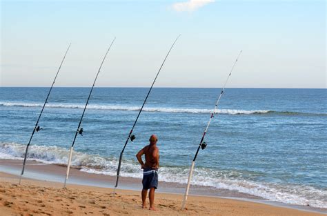 Cañas De Pescar En El Mar Elije La Mejor Consejos Y Opiniones