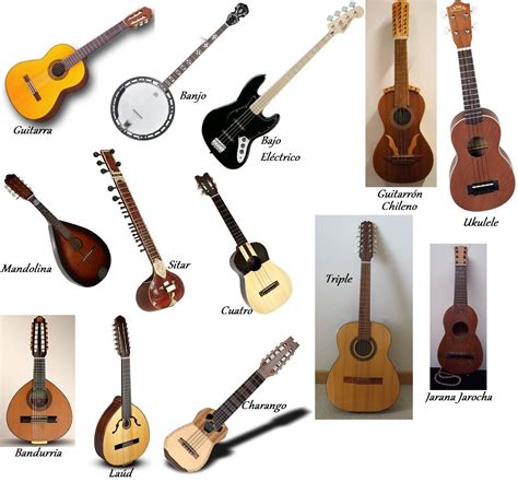 Instrumentos De Cuerda Música Taringa