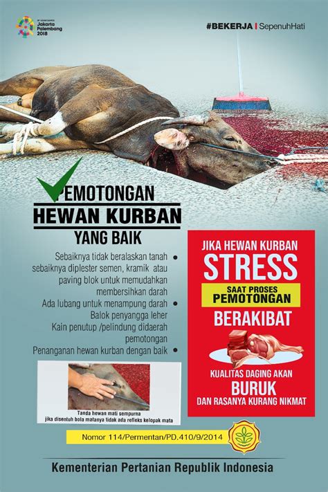 Doa menyembelih hewan qurban milik orang lain. 64 Gambar Cara Penyembelihan Hewan Qurban Gratis Terbaru ...