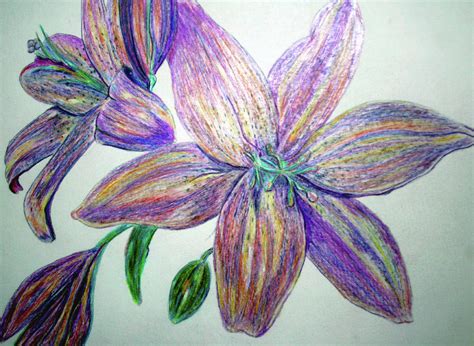 Pencil Drawings Of Flowers Art Images And Pictures Becuo