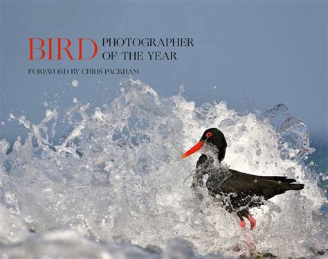 Bird Photographer Of The Year Collection 5 Bird Photographer Of The