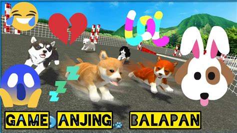 🔴 Cute Puppy Dog Racing Sim 2017 Game Anjing Balapan Anak Anjing Lucu