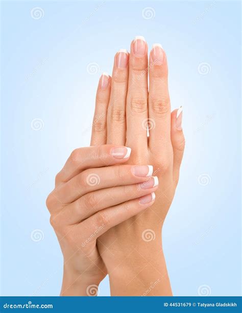 manos femeninas hermosas en azul imagen de archivo imagen de azul manicura 44531679