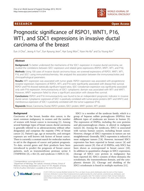 Pdf Prognostic Significance Of Rspo1 Wnt1 P16 Wt1 And Sdc1