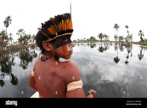 Xingu Indian Tribe Fotos Und Bildmaterial In Hoher Auflösung Seite 7 Alamy