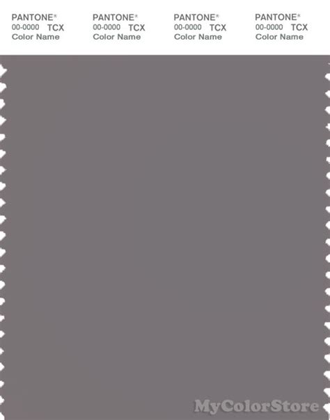 Pantone Smart 17 1503 Tcx Color Swatch Card Pantone Storm Front