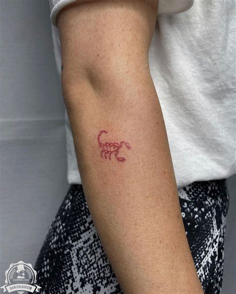 Scorpion Tattoo Tatuaje De La Mano Catalogo De Tatuajes Tatuajes Discretos