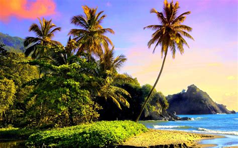 Tropical Beach Landscape Wallpapers Top Free Tropical