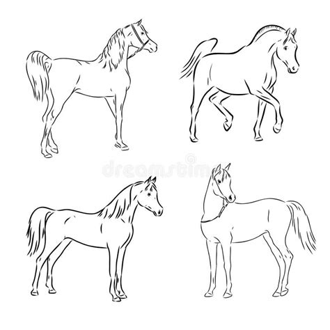 A Black Horse Sketch Vector Color Drawing Or Illustration Stock
