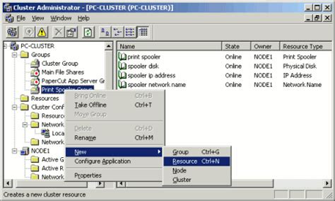 Microsoft Cluster Server MSCS On Windows