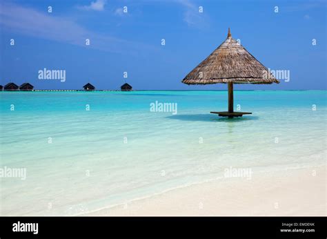 Beautiful Tropical Beach At Maldives Stock Photo Alamy