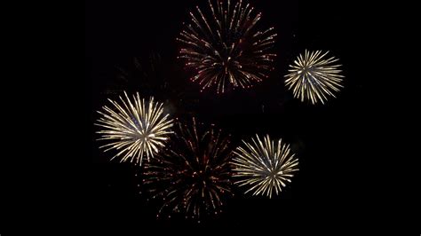 Firework Stock Video Footage For Free Download