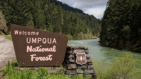 Umpqua National Forest Offices To Close For All Employee Training Kcby