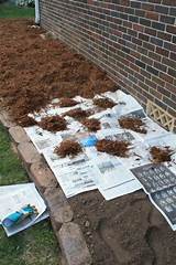 Photos of Using Newspaper To Prevent Weeds