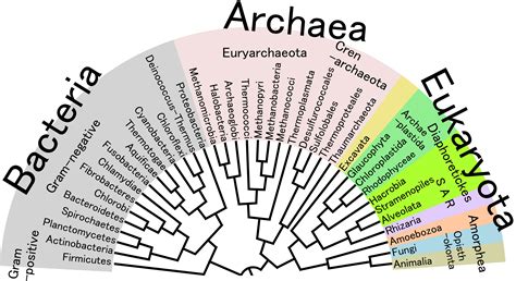 The Operator Theory A Periodic Table Of Periodic Tables Tree Of