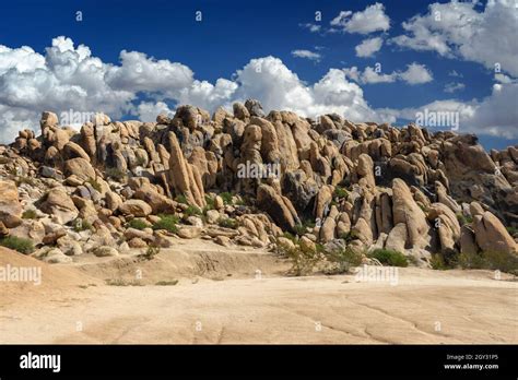 Boulders On A Hill In The Mojave Desert At Horsemens Center Park In