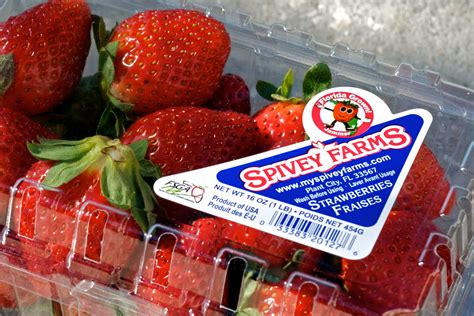 David Spivey of Spivey Farms - Florida Strawberry