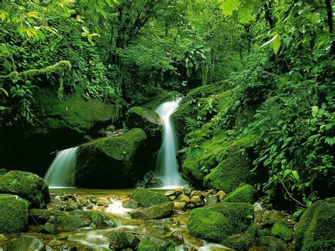 My Free Wallpapers Nature Wallpaper Green River