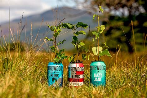 The 5 Steps Brewdog Took To Become Carbon Negative Ecochain