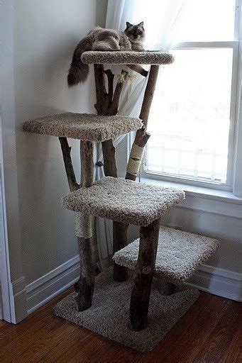Some artificial plants and real plants can. Cat Tree Furniture - Foter