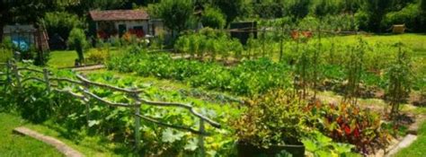 We did not find results for: How Much Food Can I Grow For a Year Supply of Food ...