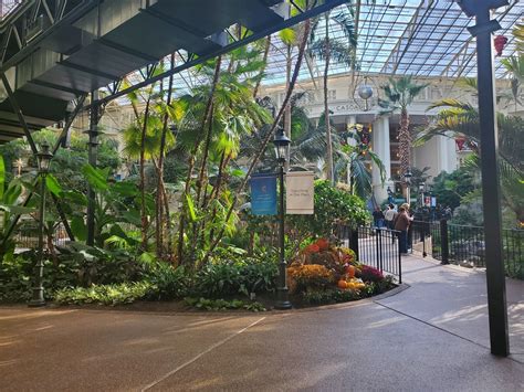 Things You Can Only Do At Gaylord Opryland Resort Grand Ole Opry My