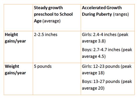 Stages Of Puberty In Girls Chart