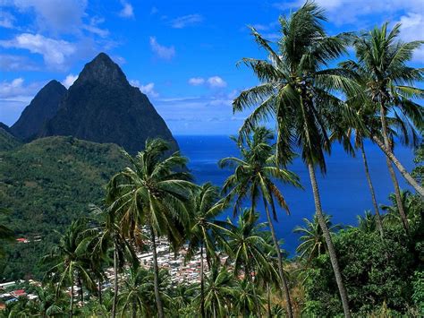 Gros Piton Wallpapers HD Download Free Backgrounds