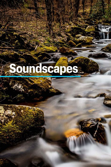 Music Choice Soundscapes Full Cast And Crew Tv Guide